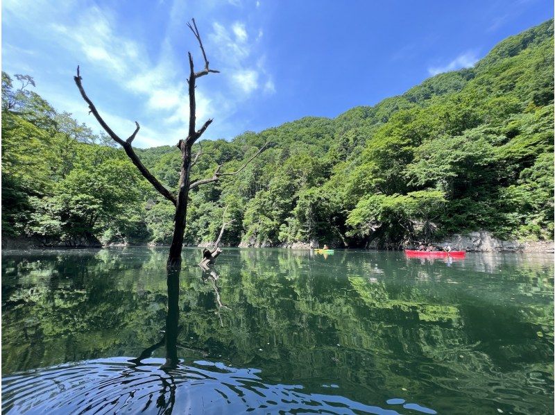 [Yamagata/Nagai] 3-hour tour with Mibuchi Valley canoe guide! Includes rental of 3 canoe equipment★For experienced users, 1 person is welcomeの紹介画像
