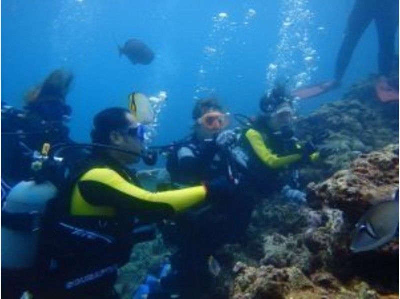 [Okinawa Onna] refresh fan divingの紹介画像