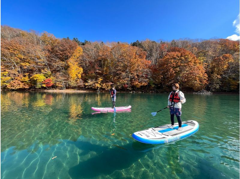 【北海道・支笏湖・２時間】 トップクラスの透明度を誇る湖でサップ体験・写真は無料プレゼント♪・ 初心者大歓迎・社員旅行や研修旅行にも♪の紹介画像