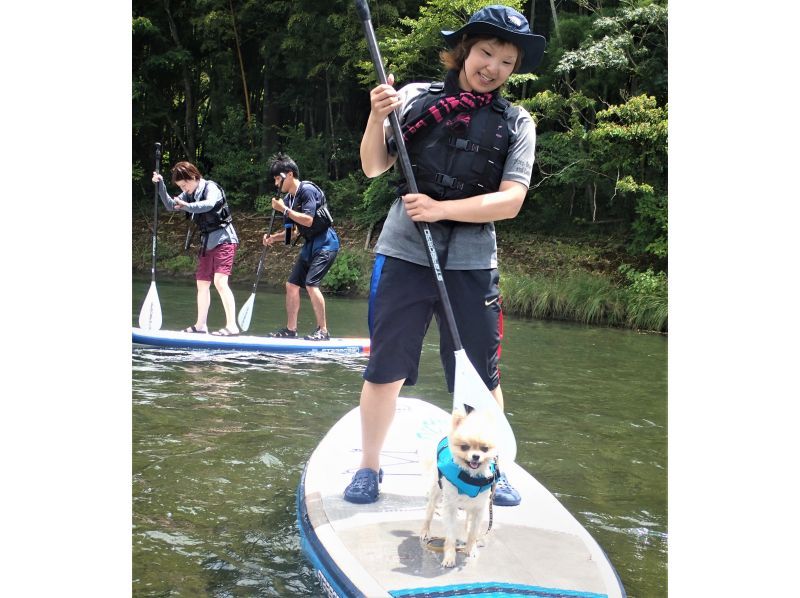 "Super Summer Sale 2024" [Tokushima/Mugi] [Early Morning] [Pets OK] For those who want a relaxing experience! Early Morning SUP (Stand Up Paddle) Experienceの紹介画像