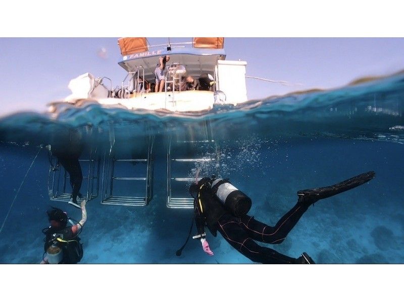 【宜野湾発・ケラマ,チービシ諸島】日帰りFUN2dive★器材込★少人数制★写真&動画無制限その場でプレゼント！の紹介画像