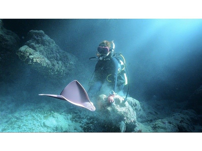 【宜野湾発・ケラマ,チービシ諸島】日帰りFUN2dive★器材込★少人数制★写真&動画無制限その場でプレゼント！の紹介画像