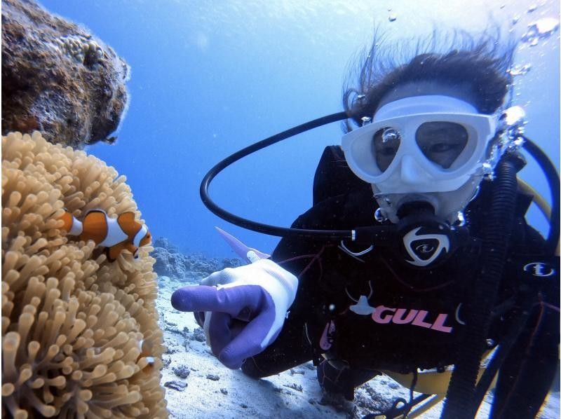 【宜野湾発・ケラマ,チービシ諸島】日帰りFUN2dive★器材込★少人数制★写真&動画無制限その場でプレゼント！の紹介画像