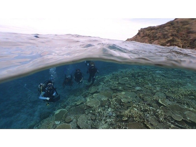 【宜野湾発・ケラマ,チービシ諸島】日帰りFUN2dive★器材込★少人数制★写真&動画無制限その場でプレゼント！の紹介画像