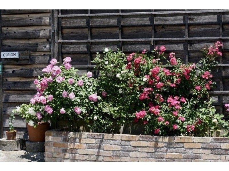 【新潟・上越】本格的シルバーリング作り3 - 4時間体験！★カップル、親子☆日本人向けプラン（前日まで予約可の紹介画像