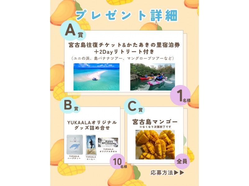 【宮古島】当日予約1時間前ok！ボートで行く【幻のユニの浜ツアー】ドローン撮影無料。浜上陸1時間！マンゴーキャンペーン実施中※詳細は写真右の紹介画像