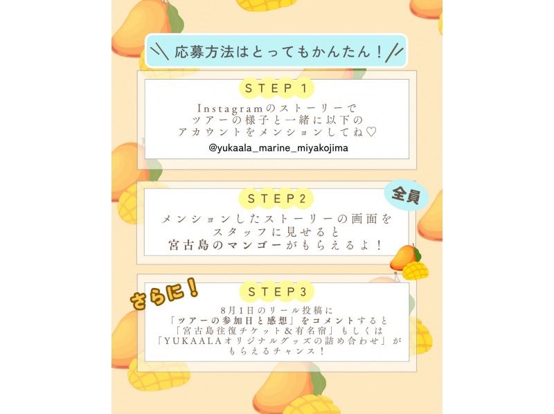 【宮古島】当日予約1時間前ok！ボートで行く【幻のユニの浜ツアー】ドローン撮影無料。浜上陸1時間！マンゴーキャンペーン実施中※詳細は写真右の紹介画像