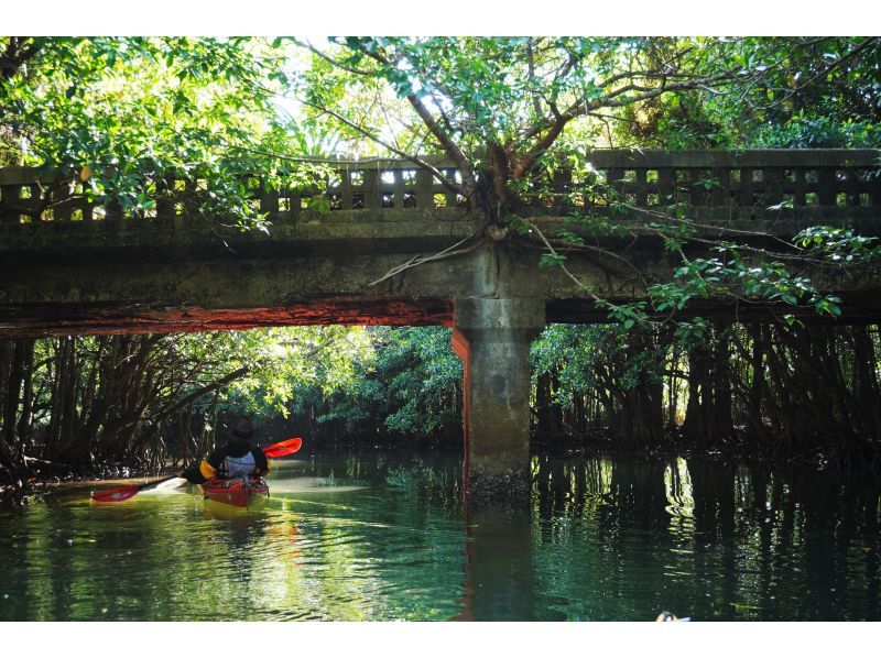 【沖縄・西表島】半日でお手軽体験 マングローブカヤックツアー【カヤック】の紹介画像