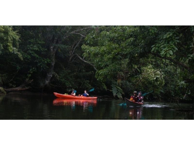 【沖縄・西表島】半日でお手軽体験 マングローブカヤックツアー【カヤック】の紹介画像