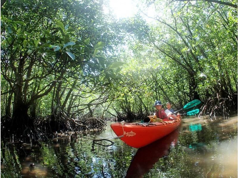 【沖縄・西表島】半日でお手軽体験 マングローブカヤックツアー【カヤック】の紹介画像