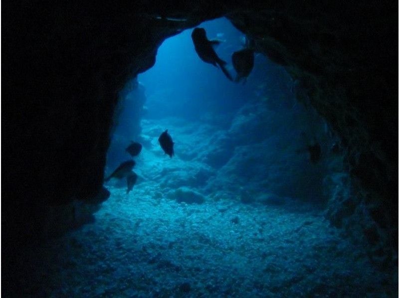 [Okinawa Onna] blue caves and tropical fish set courseの紹介画像