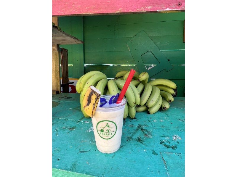 【宮古島初】島バナナスムージーが貰える島バナナ農業体験の紹介画像
