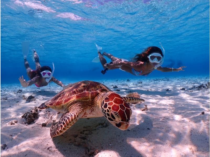 A woman swimming with sea turtles on a snorkeling tour with Irabu Island Marine Guide Mahalo