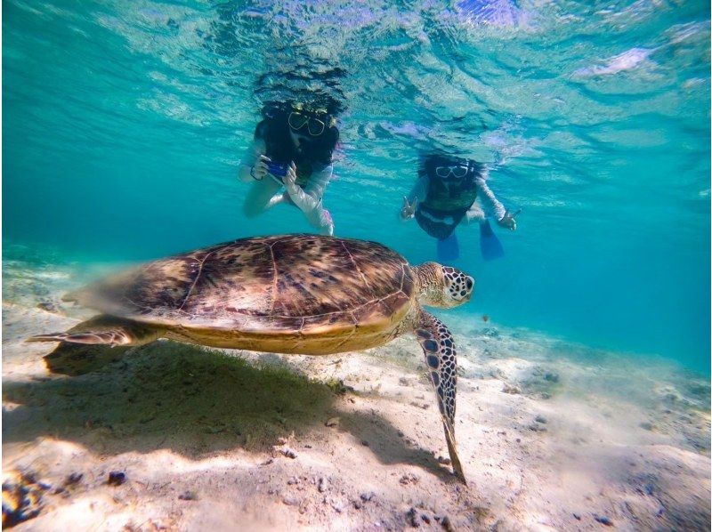 [Cheapest in Miyakojima] Best value for money! Boat trip [Phantom Uni Beach Tour & Sea Turtle Snorkeling] "Free drone photography of Uni Beach"の紹介画像