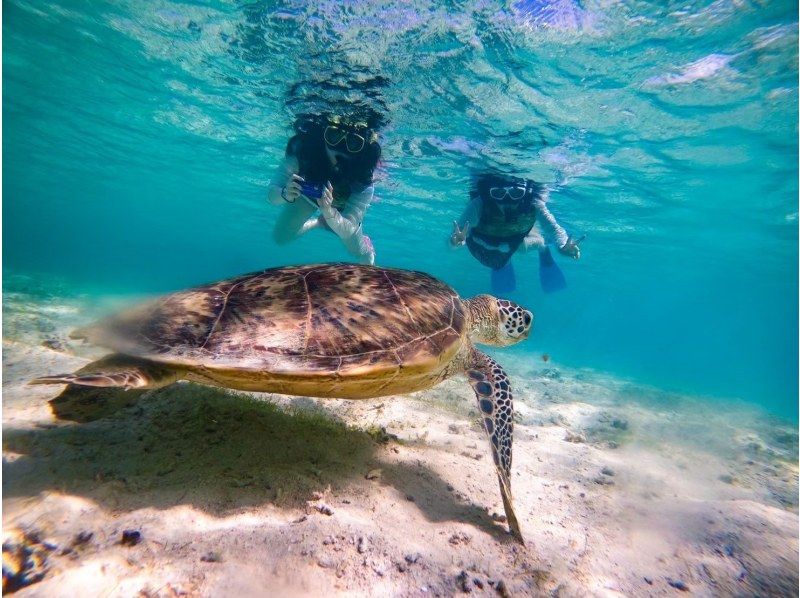 Okinawa Miyakojima Sightseeing Model Course Car Available Children Sea Turtles Snorkeling Snorkel Miyakojima YUKAALAmarine