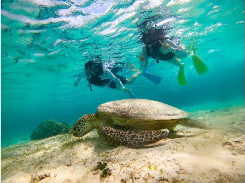 [Miyakojima 1-day retreat] Go by boat! The elusive Uni Beach & mangrove kayaking & island banana viewing experience (with island banana smoothie)の紹介画像