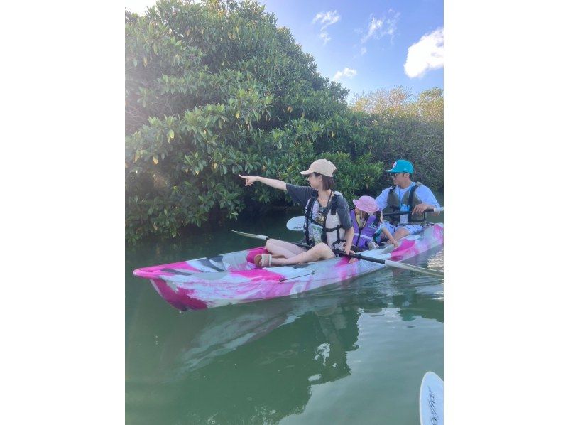 【宮古島1dayリトリート】ボートで行く！幻のユニの浜&マングローブカヤック&島バナナ見学体験(島バナナスムージー付)の紹介画像