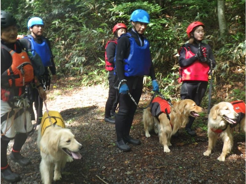 [Gunma, Minakami] "Held on August 31st" A very popular event: shower climbing with your beloved dog!の紹介画像
