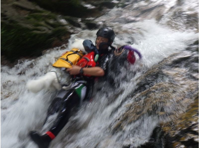 [Gunma, Minakami] "Held on August 31st" A very popular event: shower climbing with your beloved dog!の紹介画像