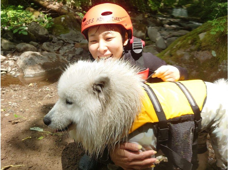 [Gunma, Minakami] "Held on August 31st" A very popular event: shower climbing with your beloved dog!の紹介画像