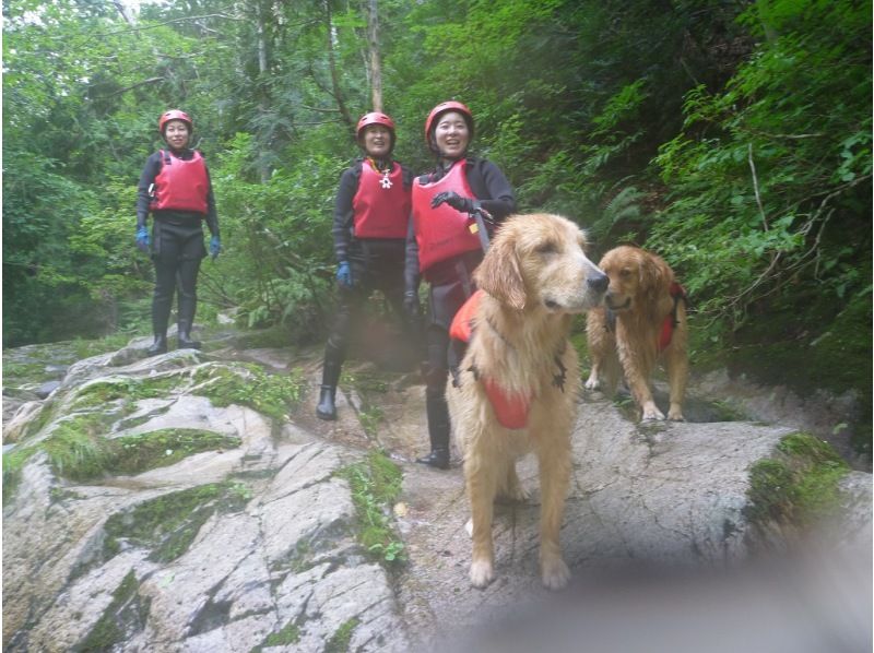 [Gunma, Minakami] "Held on August 31st" A very popular event: shower climbing with your beloved dog!の紹介画像