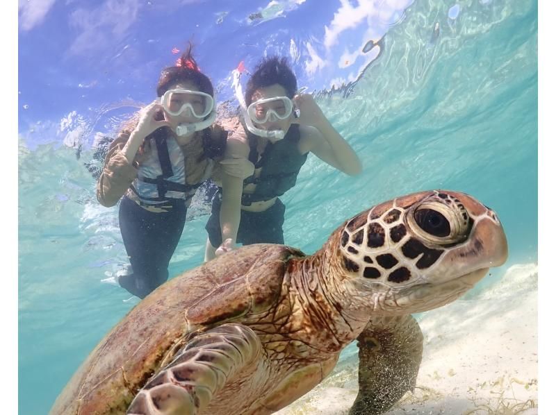 [Miyakojima] Spring sale underway! Completely reserved sea turtle snorkel! Photo gift ★ Beginners welcome (reservations accepted until 12:00 on the day) ★ Guaranteed to look great on SNS ♡の紹介画像