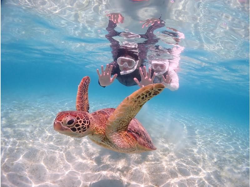 [Miyakojima] [Fully reserved] [Photographed with a high-performance underwater camera] Enjoy without worrying! 100% encounter rate continues! Sea turtle snorkeling! ★ Same-day reservations OK!の紹介画像