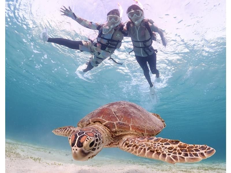 Miyakojima <Photographed with a high-performance camera> Enjoy without worrying! Private sea turtle snorkeling! ☆ Photo data gift (Reservations accepted until 12:00 on the day)の紹介画像