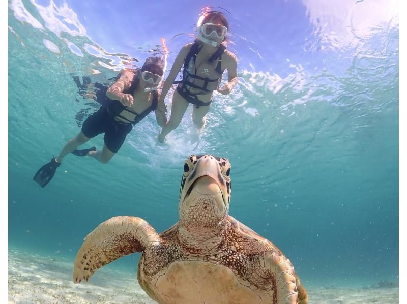 Miyakojima <Photographed with a high-performance camera> Enjoy without worrying! Private sea turtle snorkeling! ☆ Photo data gift (Reservations accepted until 12:00 on the day)の紹介画像