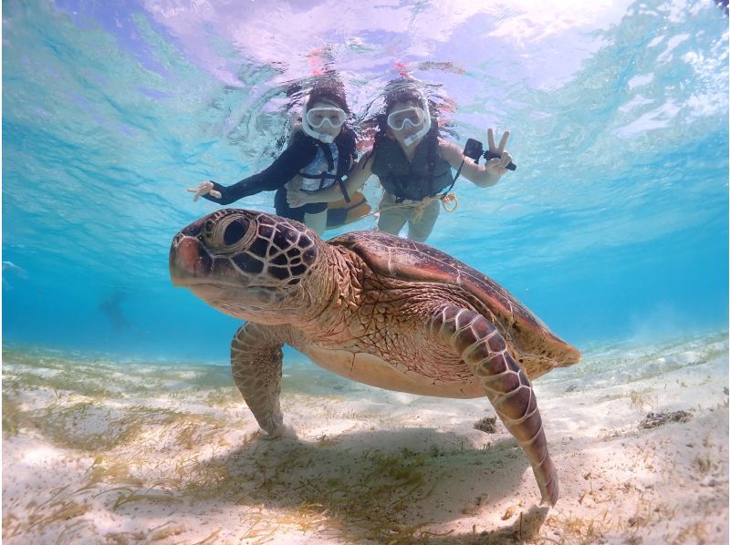 [Miyakojima] Private sea turtle snorkel with Photo gift ★ Beginners welcome