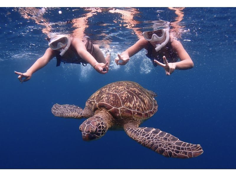 【石垣島】青の洞窟探検&ウミガメシュノーケル★4年連続ウミガメ遭遇率100%『1～5名の少人数制』体験時間1.5時間/写真・機材・送迎無料の紹介画像