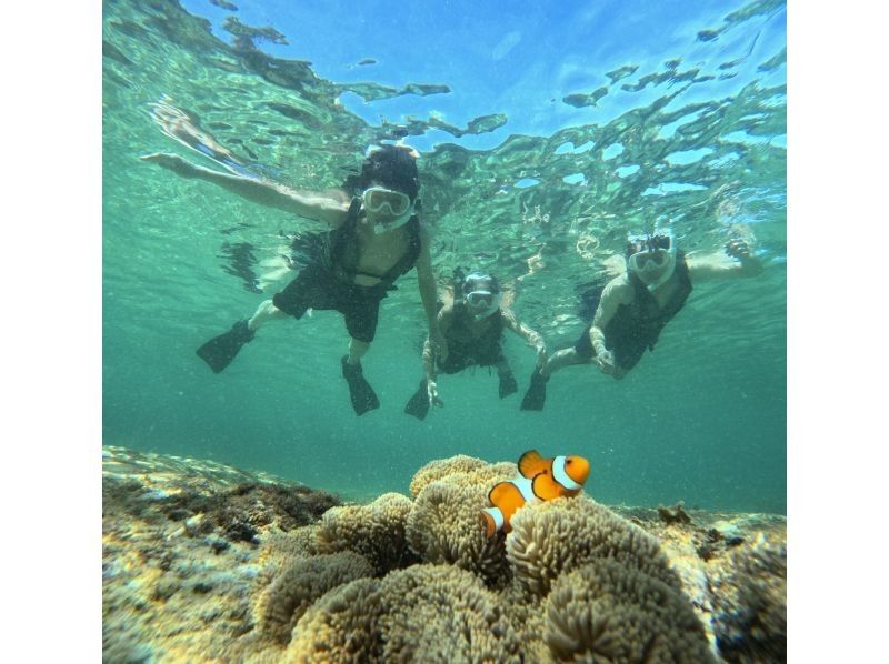 【石垣島】青の洞窟探検&ウミガメシュノーケル★4年連続ウミガメ遭遇率100%『1～5名の少人数制』体験時間1.5時間/写真・機材・送迎無料の紹介画像