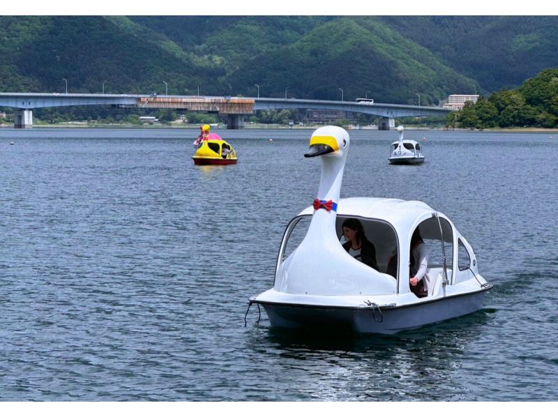 [Yamanashi Prefecture, Lake Kawaguchi] Doggy OK! Feel free to take a stroll around Kawaguchiko! swan boatの紹介画像