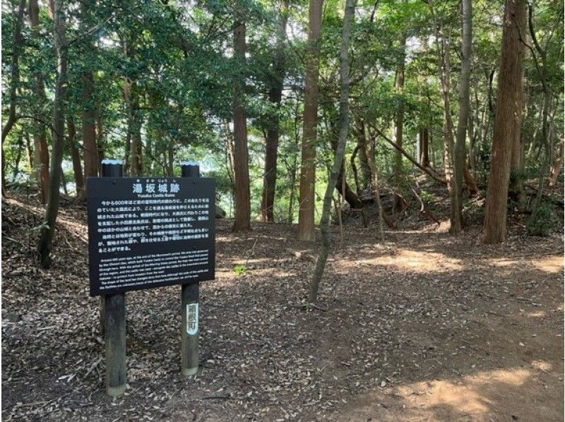 【가나가와·하코네】역사의 길을 하이킹 “하코네 유자카로(가마쿠라 고도)” 등산 강습 첨부!の紹介画像