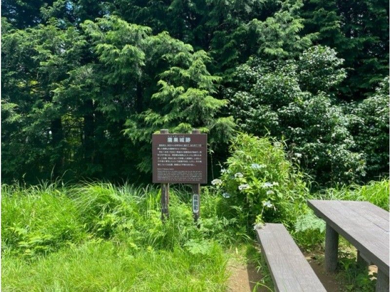 [Kanagawa/Hakone] Hiking on the historical road "Hakone Yusakaji (Kamakura Kodo)" with climbing course!の紹介画像