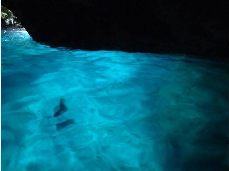 【 冲绳 ·恩纳村】鲸鲨和蓝洞穴深潜套餐套餐の紹介画像