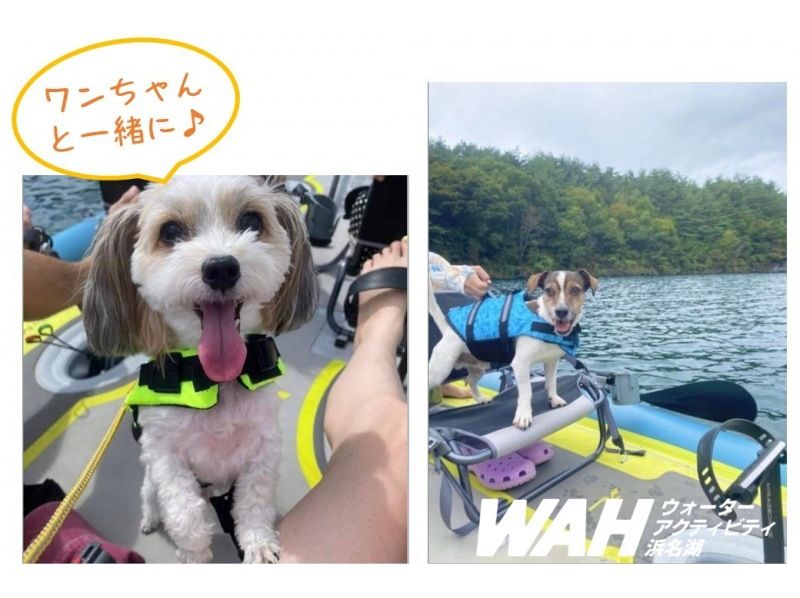 【浜松・浜名湖】 4人乗りペダルボート♪家族、グループでゆったり湖上体験☆わんこ(ペット)同乗可 / スーパーサマーセール2024 の紹介画像