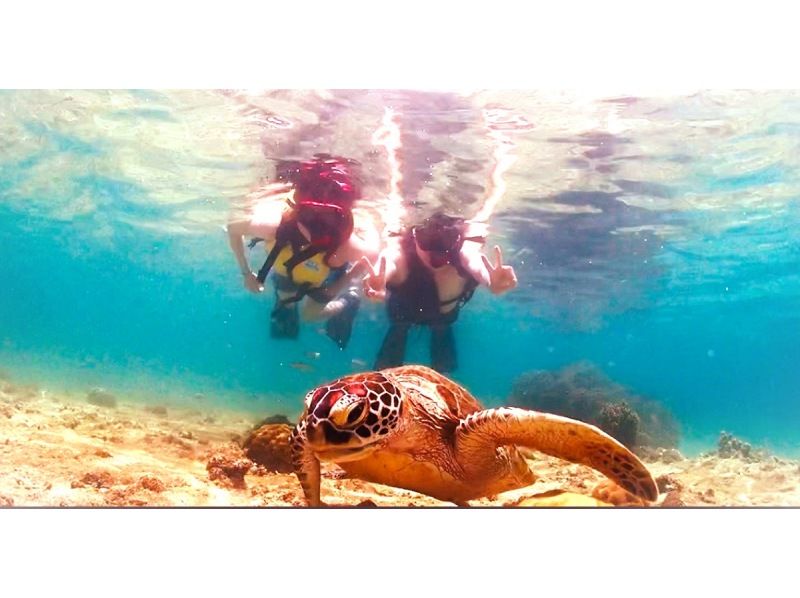 "Spring campaign in progress♪" Last minute reservations accepted! Snorkeling that even 1 year olds can enjoy♪ High chance of encountering sea turtlesの紹介画像