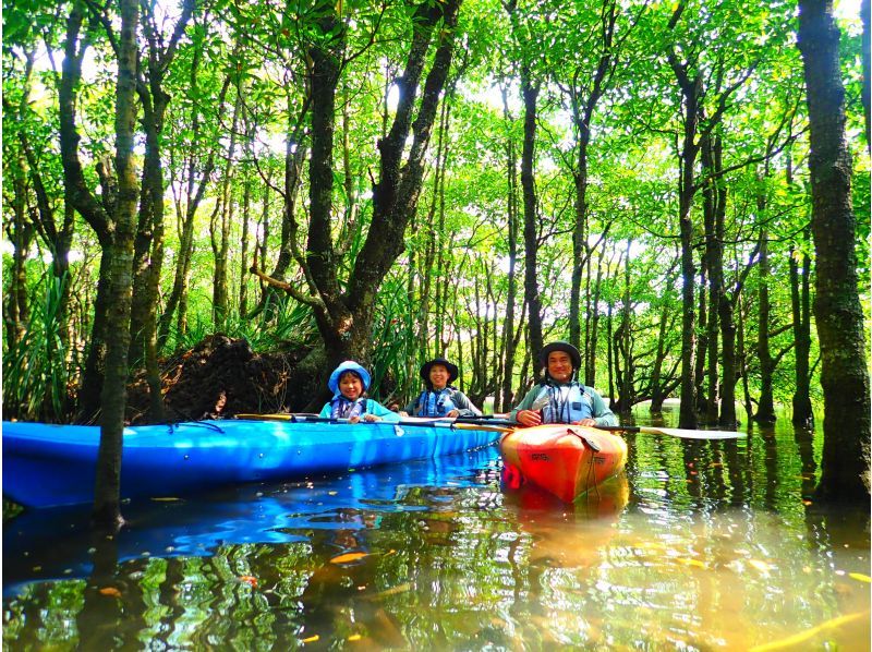 이리 오모테 섬 카누 투어 풍차 맹그로브 카누를 즐기는 사람들