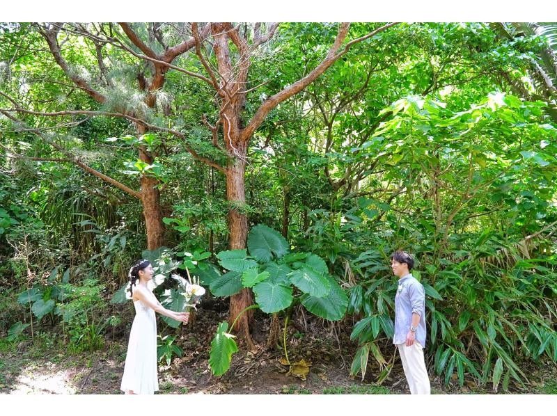 石垣島を贅沢に1周コース＆観光と撮影☆プロカメラマン同行フォトツアー☆1DAY完全プライベート周遊ツアー☆のんびりゆったりhappyタイム♪の紹介画像