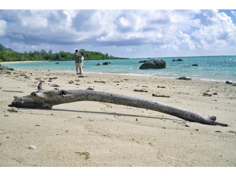 石垣島を贅沢に1周コース＆観光と撮影☆プロカメラマン同行フォトツアー☆1DAY完全プライベート周遊ツアー☆のんびりゆったりhappyタイム♪の紹介画像
