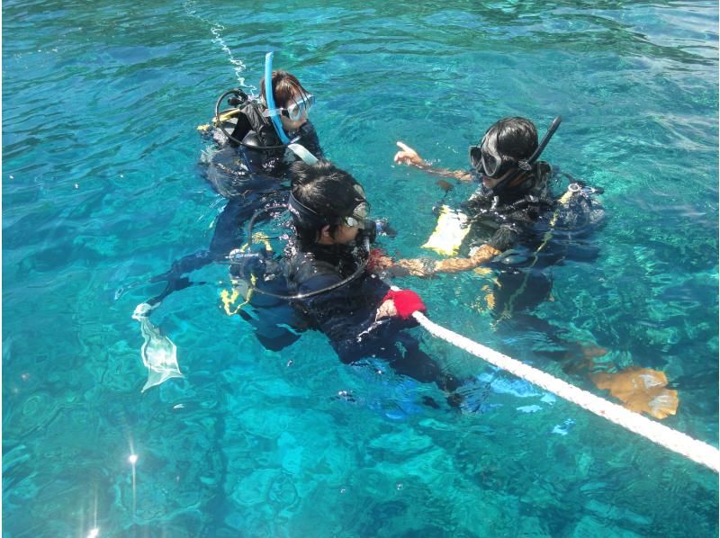 【那覇発⇒慶良間諸島】★写真動画無料・レンタル込3箇所周遊 本物の慶良間諸島体験ダイビング＆スノーケリング+1月～3月ホエールウォッチング付の紹介画像