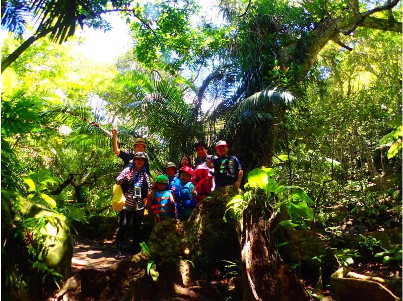 ピナイサーラの滝は個人が自力で行ける？行き方とおすすめガイド付きツアーを紹介！