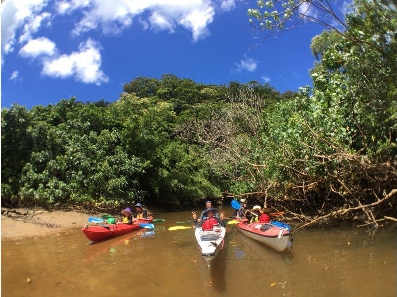 [โอกินาว่า・ เกาะอิริโอะโมะเตะ] ป่าที่เต็มไปด้วยความสนุกสนานพายเรือคายัก(Sea Kayaking)& ล้างการเล่นสตรีม ~の紹介画像