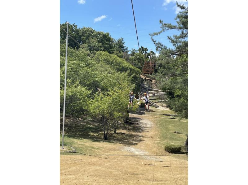 [Kyoto/Uji] Aerial walk in the forest ♪ Zip line! Tour course!の紹介画像