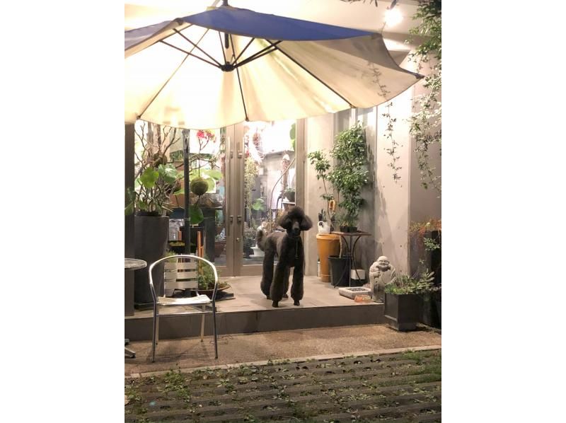 【京都・北野】幽玄の香りを愉しむ・隠れ家カフェで夜の香道お手前体験（香道　三品大枝流）　の紹介画像