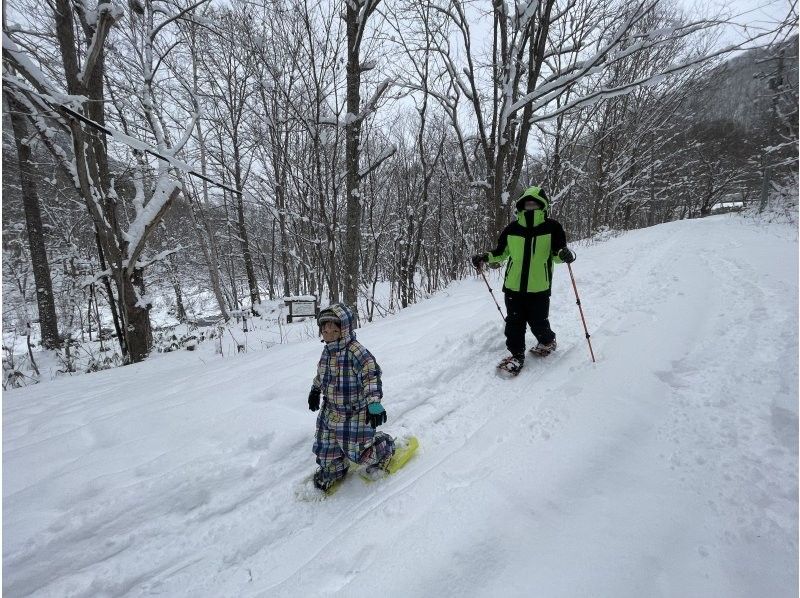 【北海道/札幌雪鞋健行】提供接送服務 - 潛伏著長尾山雀、蝦夷松鼠等雪精靈的粉雪森林，或是俯瞰日本三大夜景的雪山“閃閃發光的珠寶盒”の紹介画像