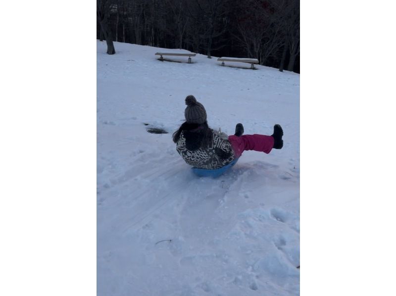 ❄森香る Winter Suwaggu❄️MerryChristmas2023❄ Hokkaido/Sapporo] Powder Snow Forest: See Shimaenaga & Ezo