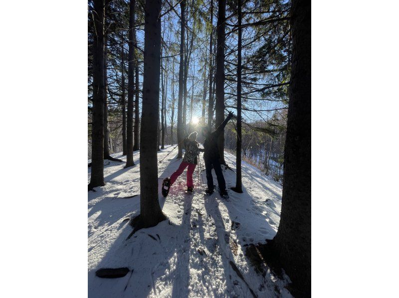 【北海道/札幌雪鞋健行】提供接送服務 - 潛伏著長尾山雀、蝦夷松鼠等雪精靈的粉雪森林，或是俯瞰日本三大夜景的雪山“閃閃發光的珠寶盒”の紹介画像