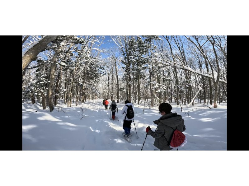 【北海道/札幌雪鞋健行】提供接送服務 - 潛伏著長尾山雀、蝦夷松鼠等雪精靈的粉雪森林，或是俯瞰日本三大夜景的雪山“閃閃發光的珠寶盒”の紹介画像